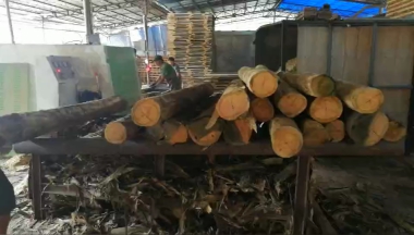 圓木多片鋸加工效率下降？多片鋸開機(jī)檢查3個(gè)地方